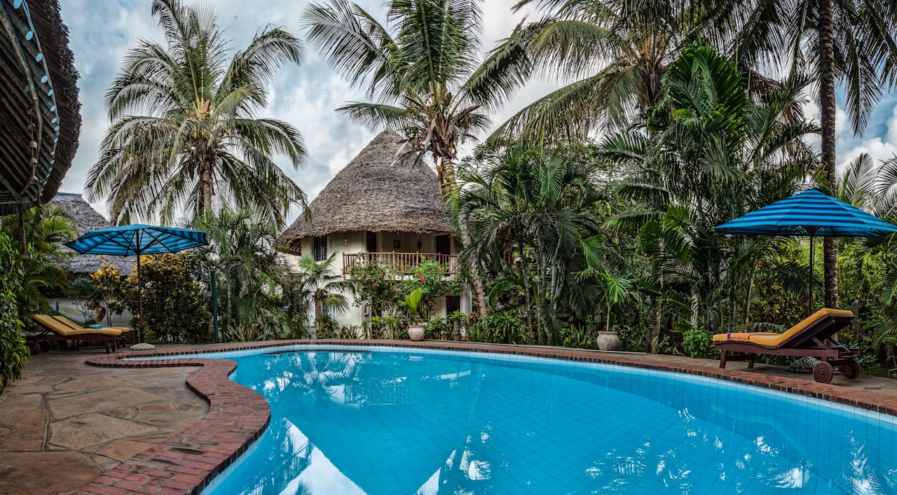 Pool framed by tall palms and thatched villa roof